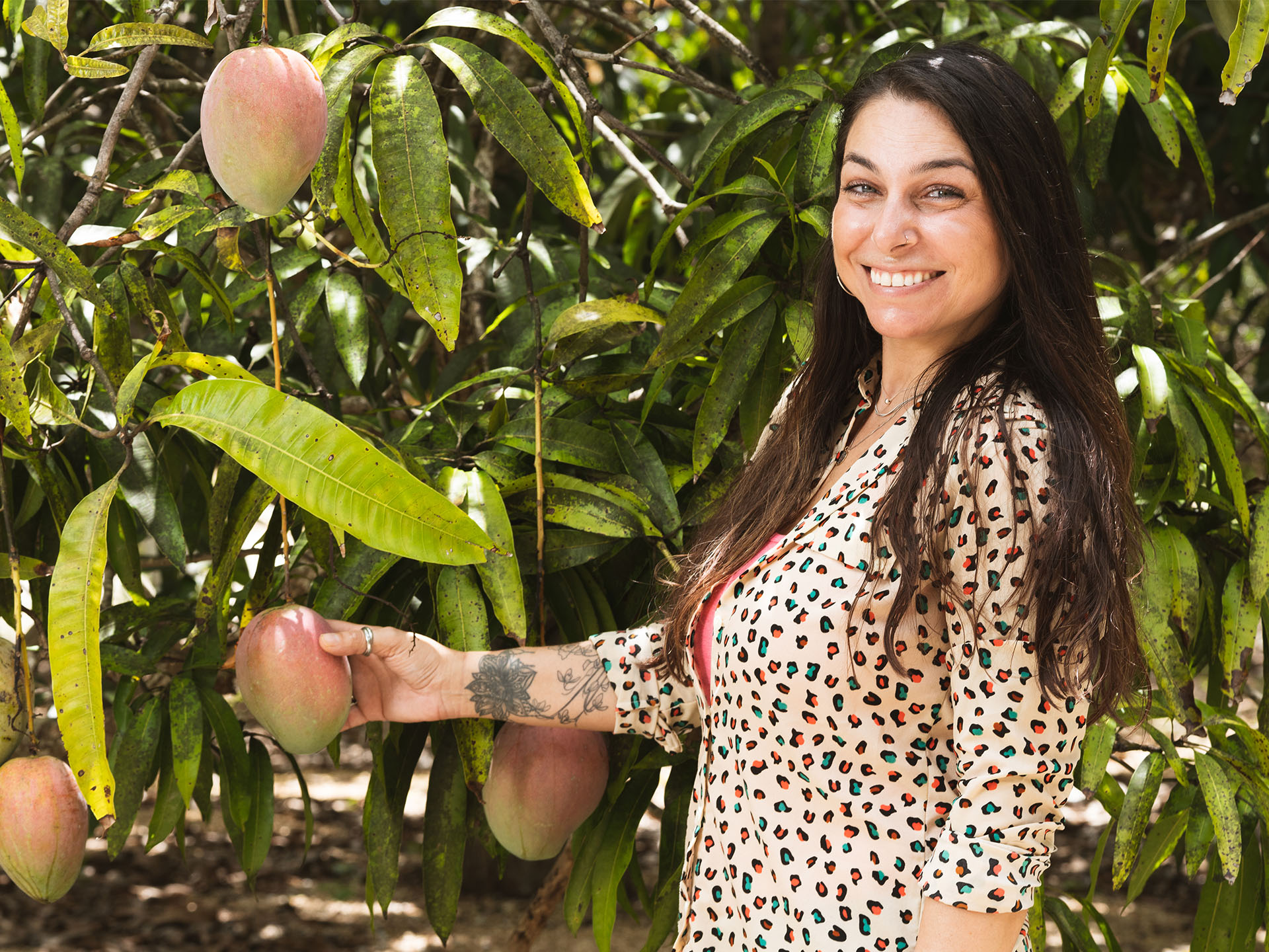 Christina Ravdas picking mango from a tree