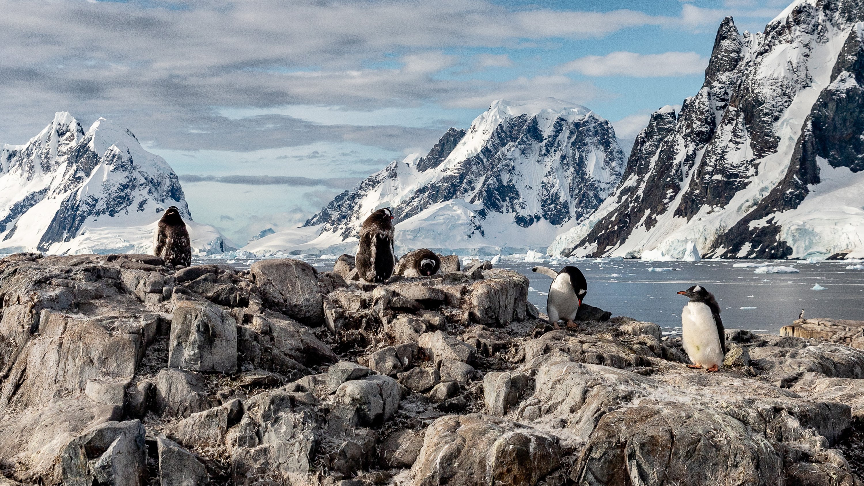 Antarctic Circle Expedition
