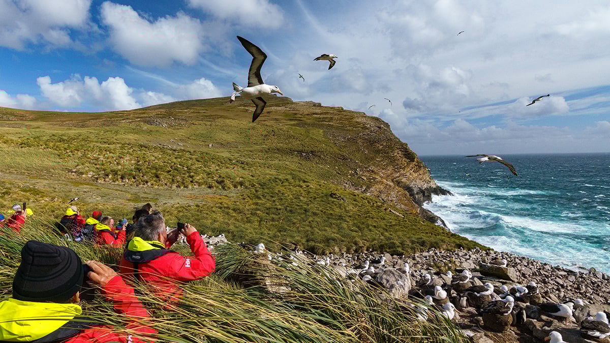Antarctica & Falklands Expedition | Northbound