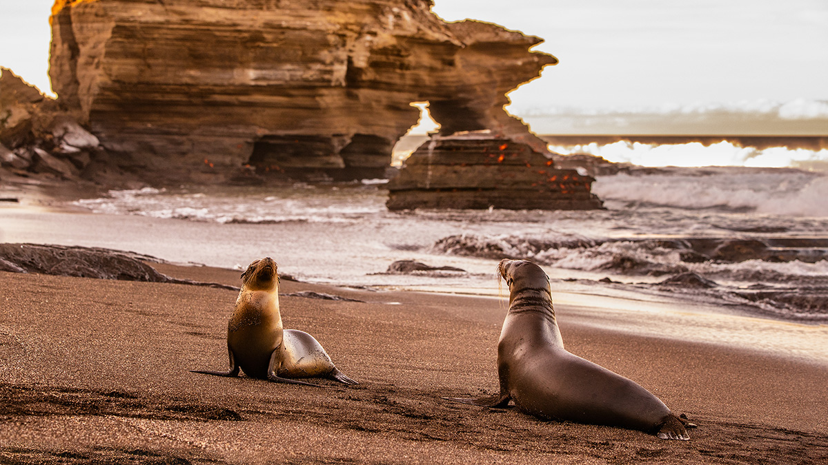 Galápagos Islands - Nature and Wildlife Expedition Cruise | Northern Route