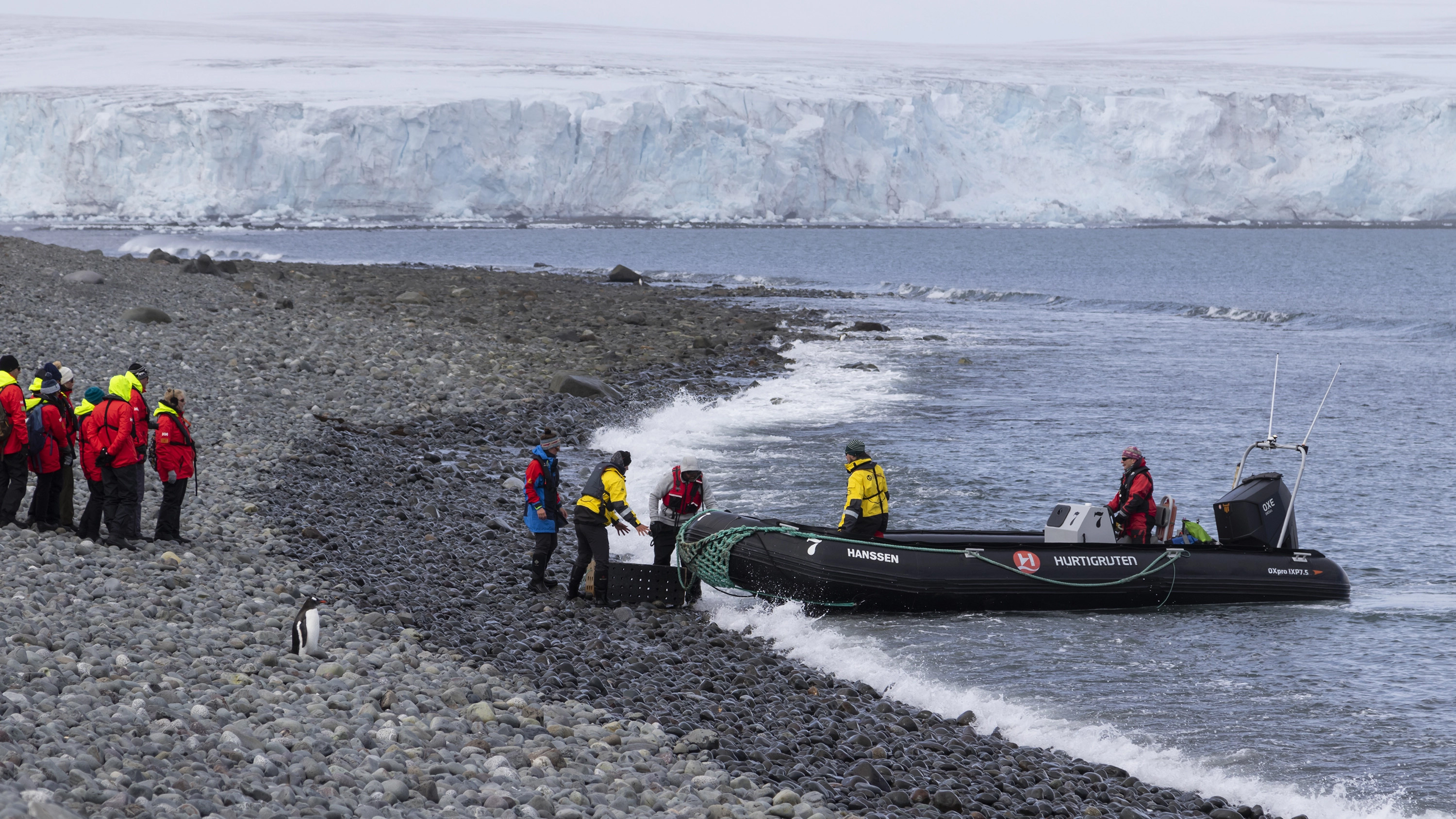Life Returns - Springtime Expedition to Antarctica