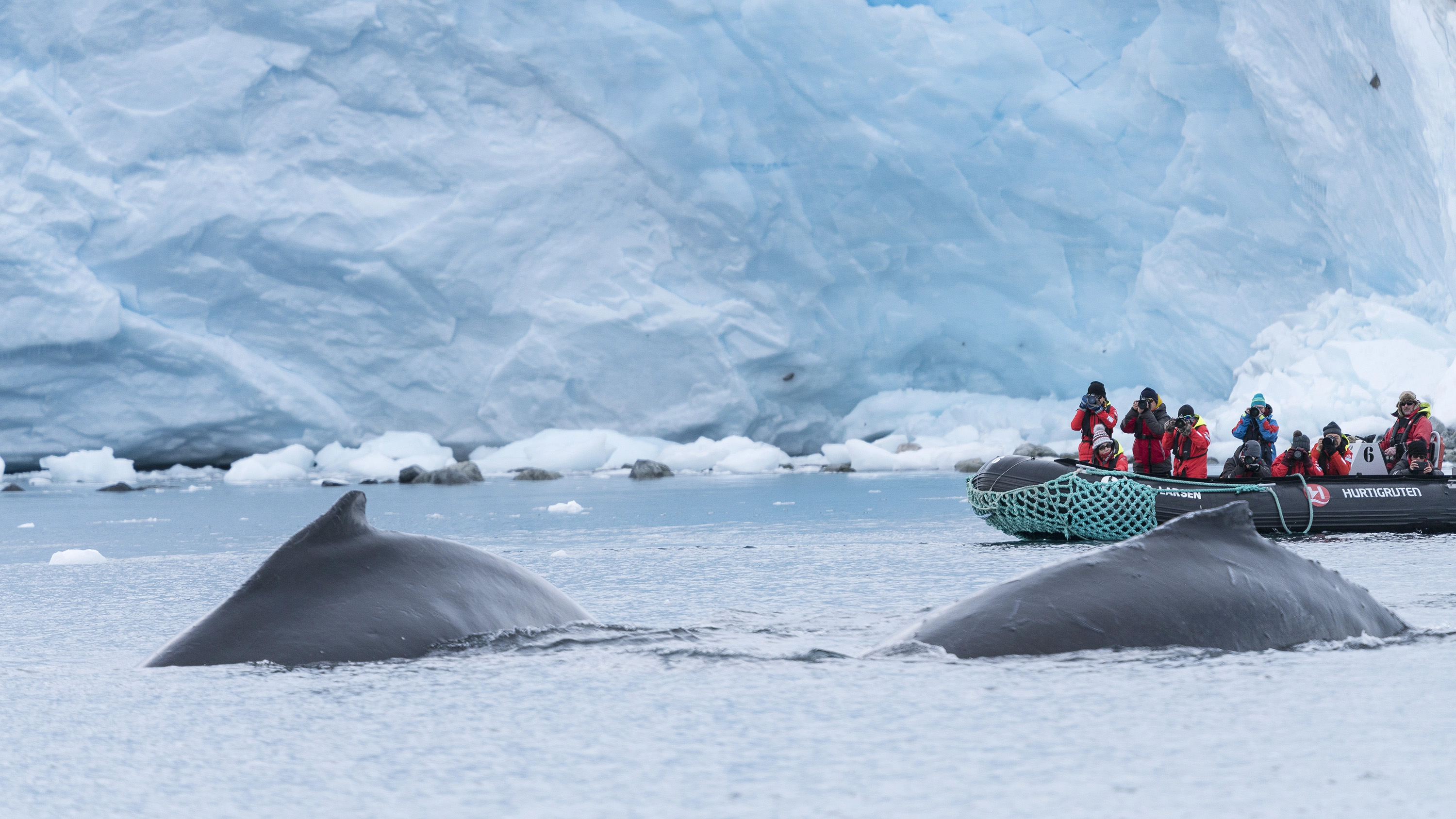 Life Returns - Springtime Expedition to Antarctica