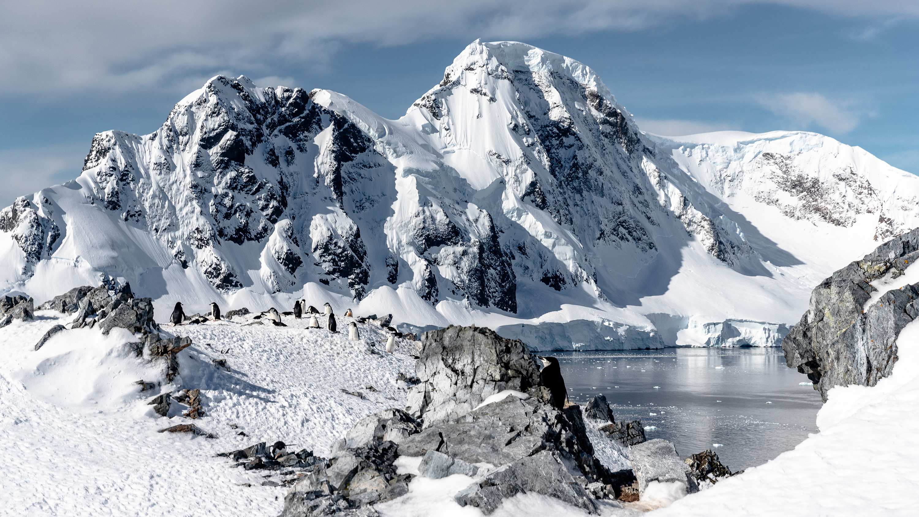 Highlights of Antarctica