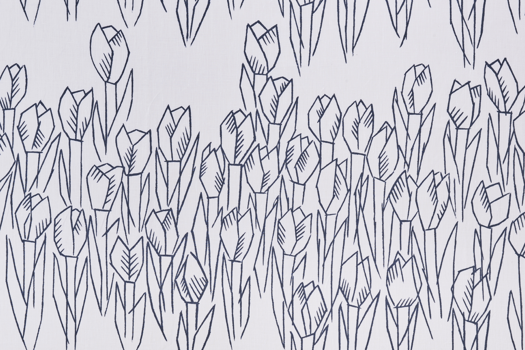 tulipani - minä perhonen