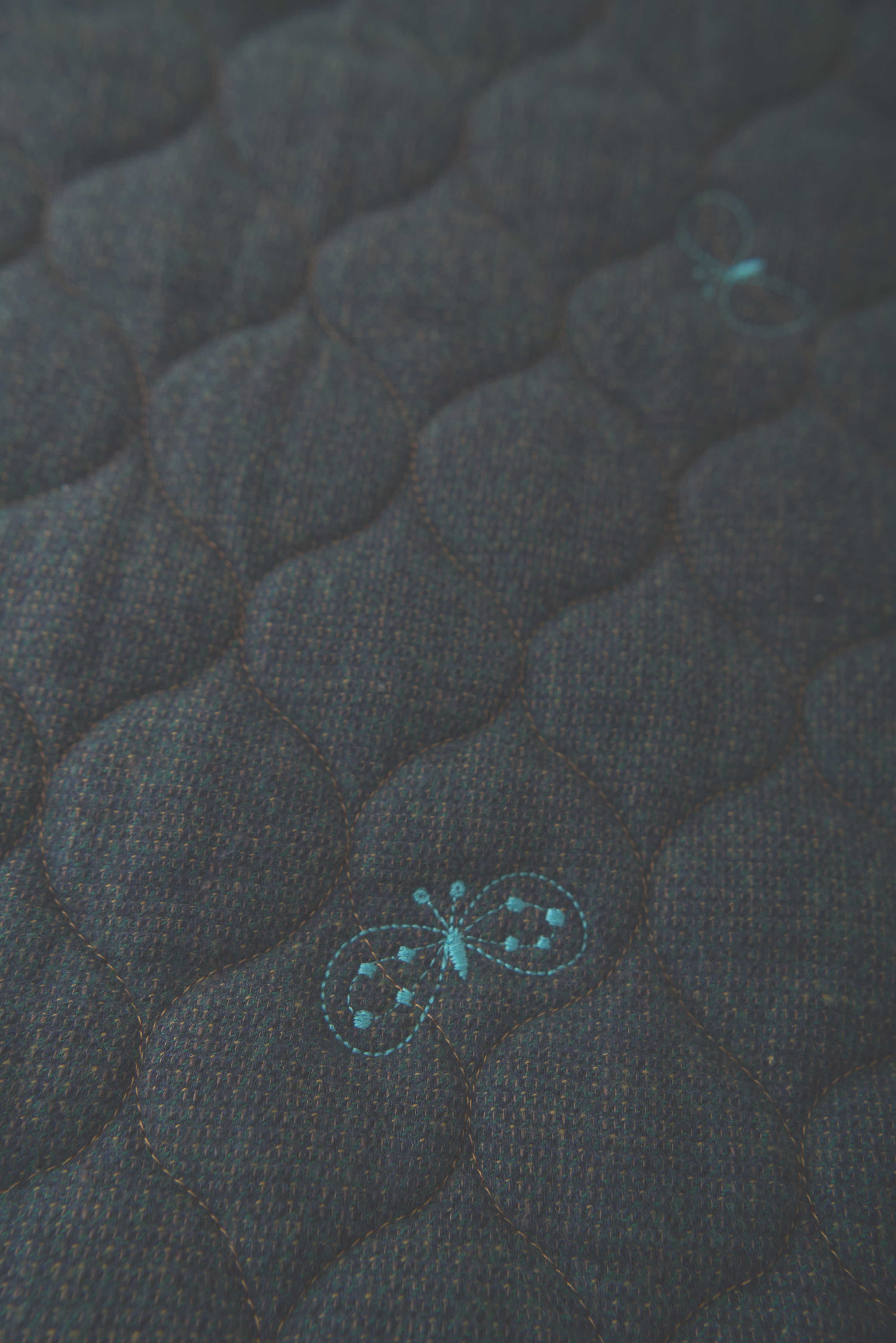 choucho famille toté - minä perhonen