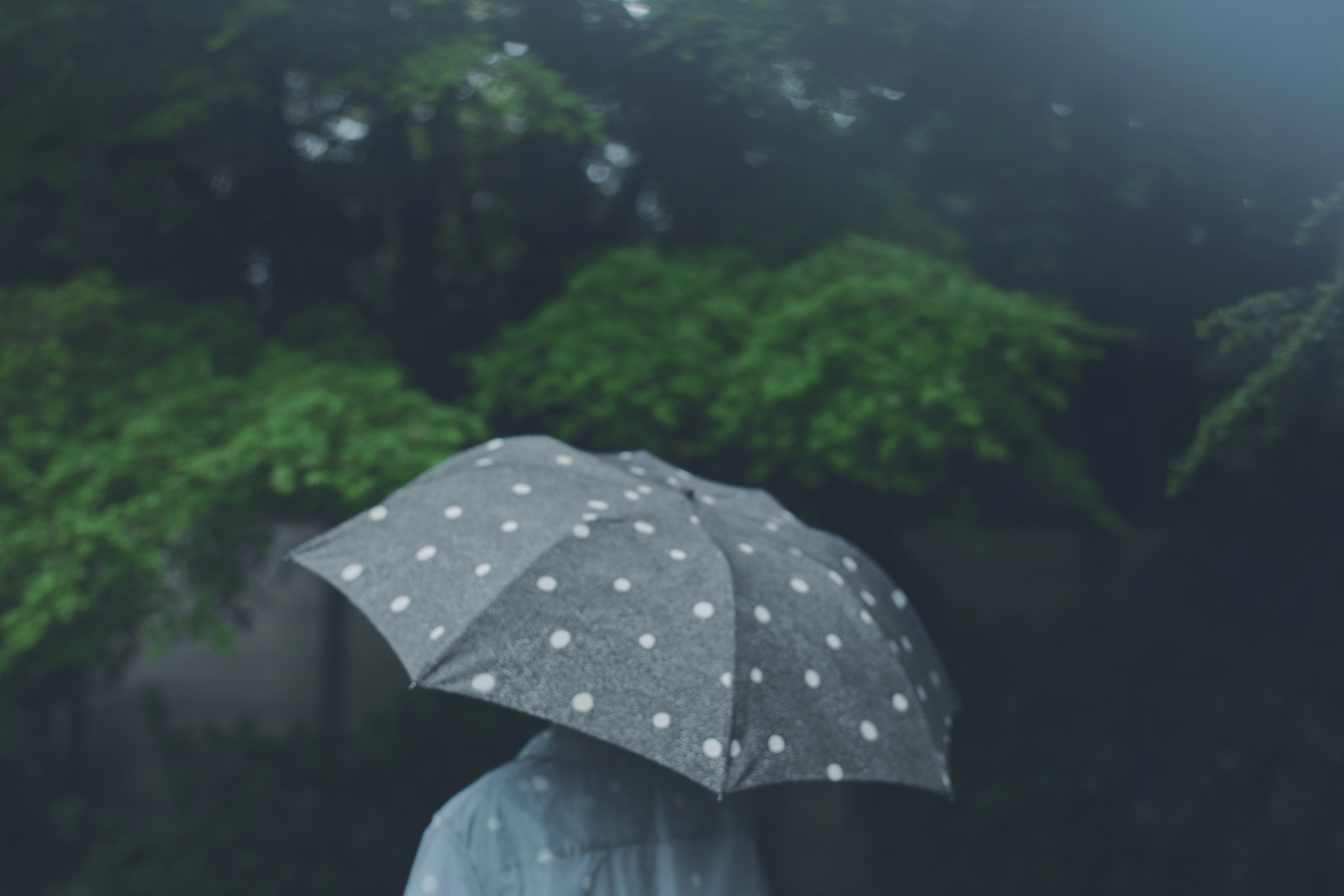 雨の日アイテム、neutraali新作発売のお知らせ。5月3日～ - minä 