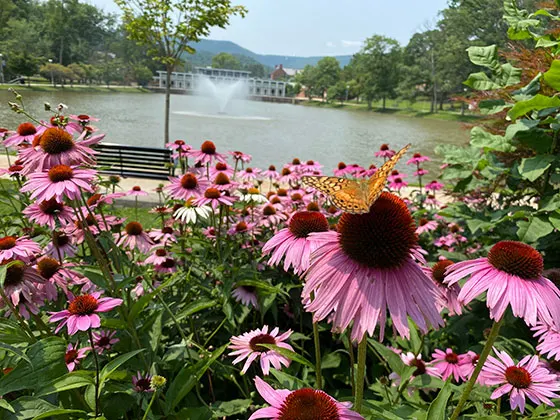 Photo of Altoona campus with flowers and a pond in the foreground