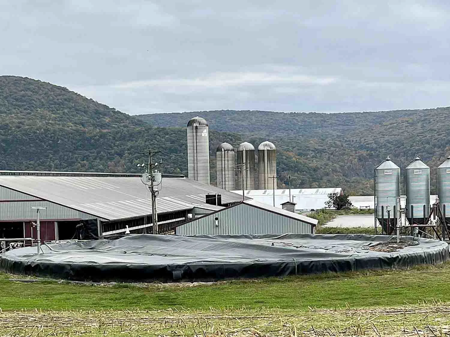 ‘Grass2Gas’ may be key to sustainable Pennsylvania dairy farms, study suggests