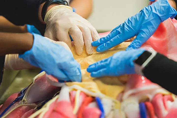 Close-up photo of students working in a medical classroom