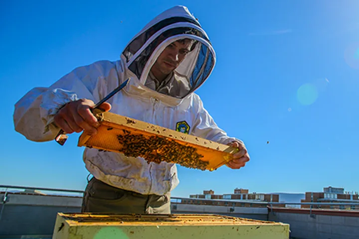 Photo of student with bee hive