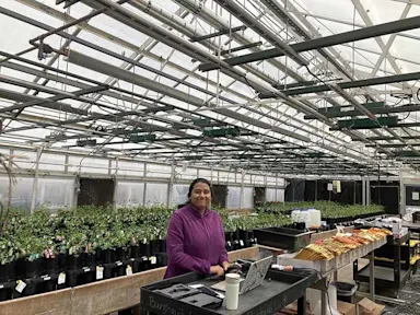 Plant genes influence bacterial evolution in legume-bacteria partnership