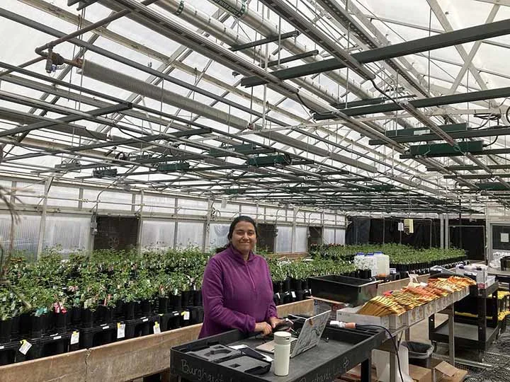 Plant genes influence bacterial evolution in legume-bacteria partnership