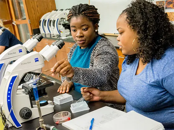 Photo of two students working in front of microscopes in a science lab