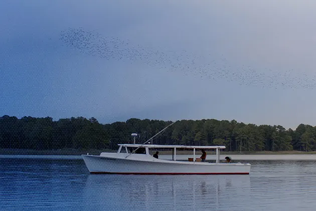 A boat in the Chesapeake Bay. 