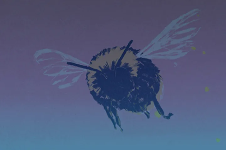 Illustration of a bee