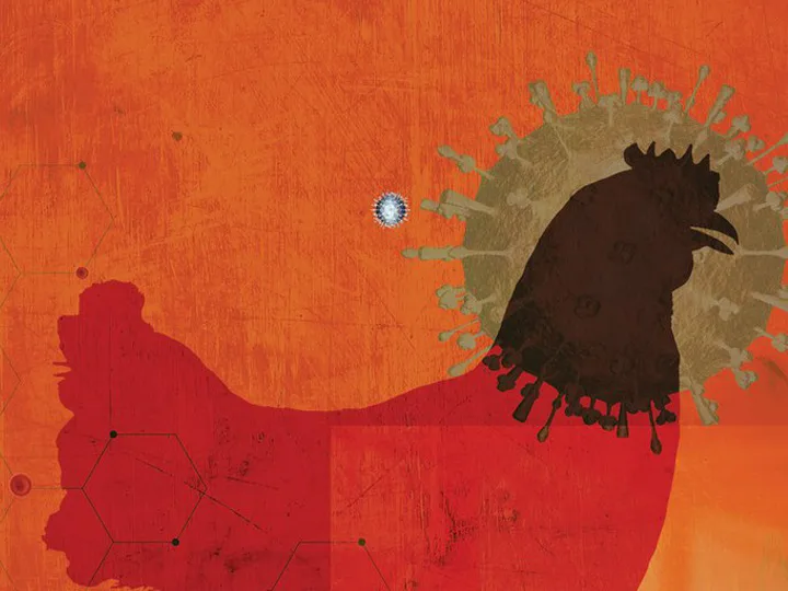 A Bad Case of the Flu