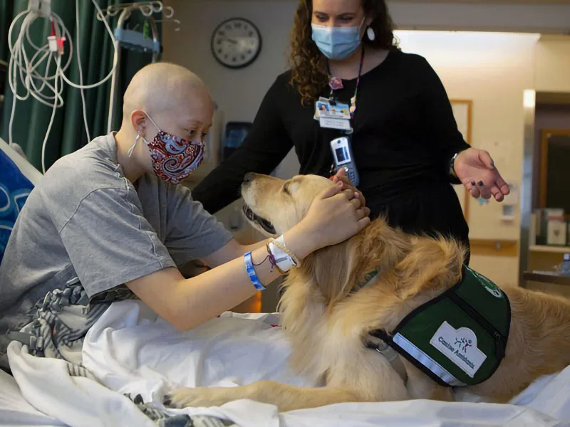 Therapy dog with patient and nurse who are wearing protective masks.