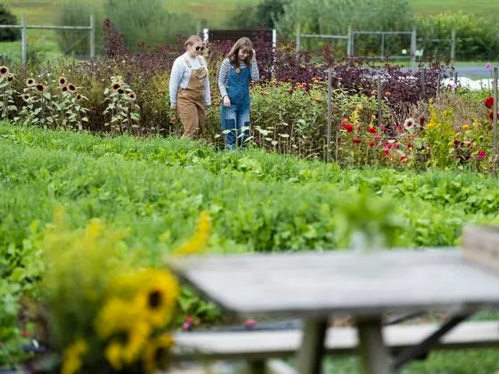 Photo of students walking in a field at the student farm