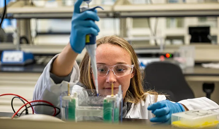 Photo of a student interacting with samples in a science lab