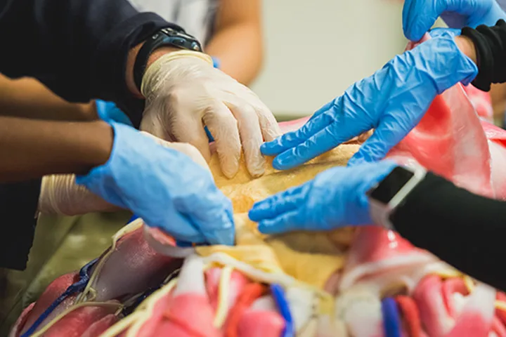 Close-up photo of students working in a medical classroom