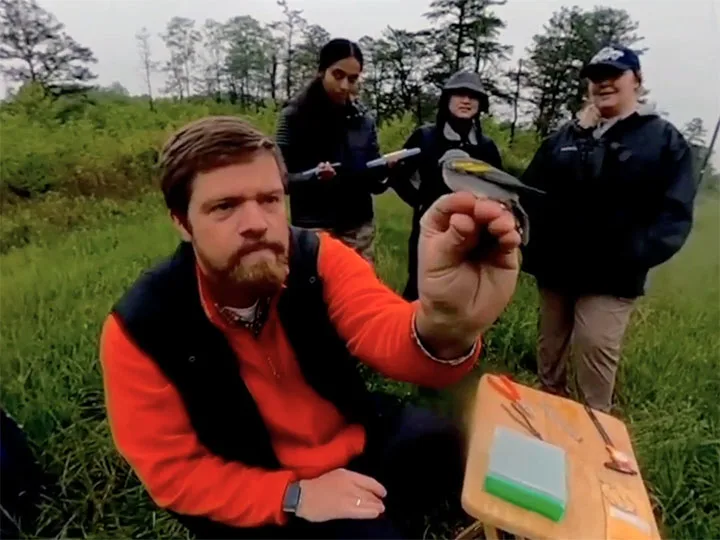 Bird researchers use virtual reality to bring fieldwork experience to classroom