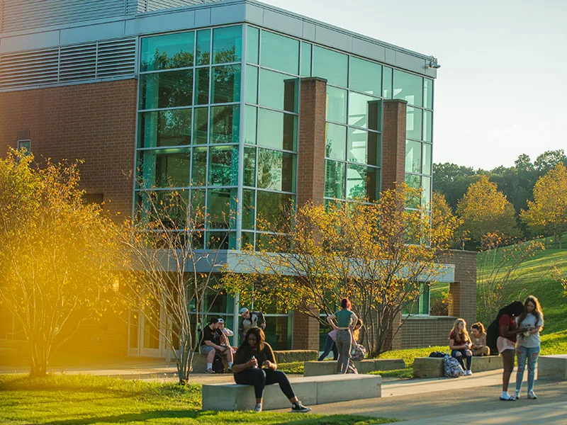 Students enjoying a sunlit fall evening on campus.