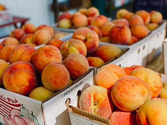 Seven boxes of peaches