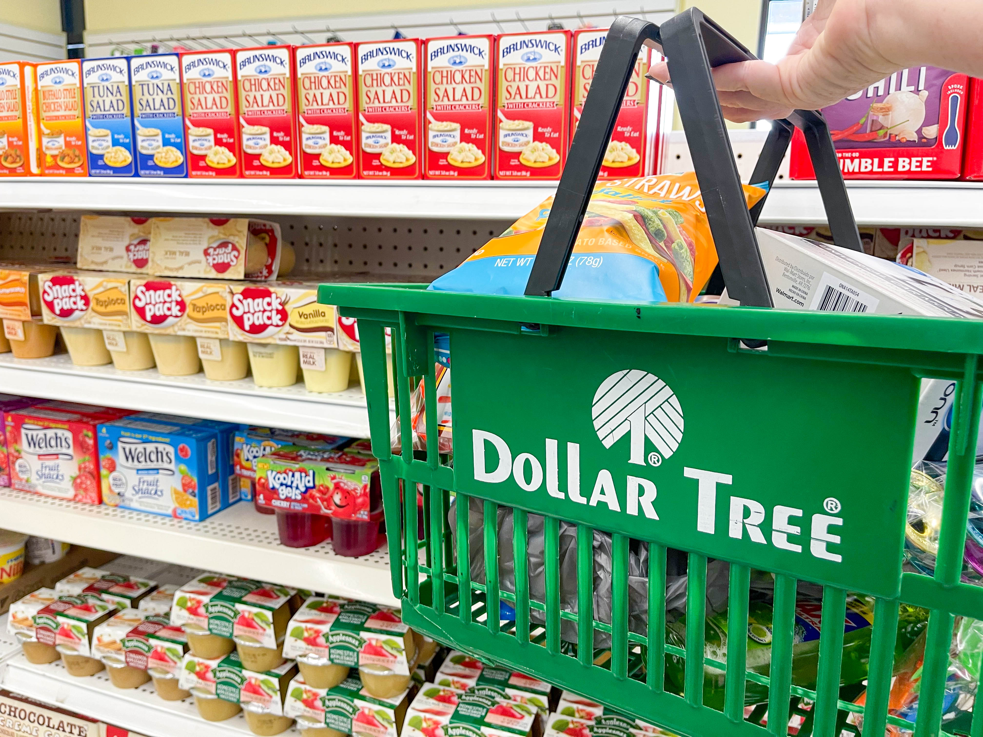 Dollar Tree Coupons - The Krazy Coupon Lady - April 2023
