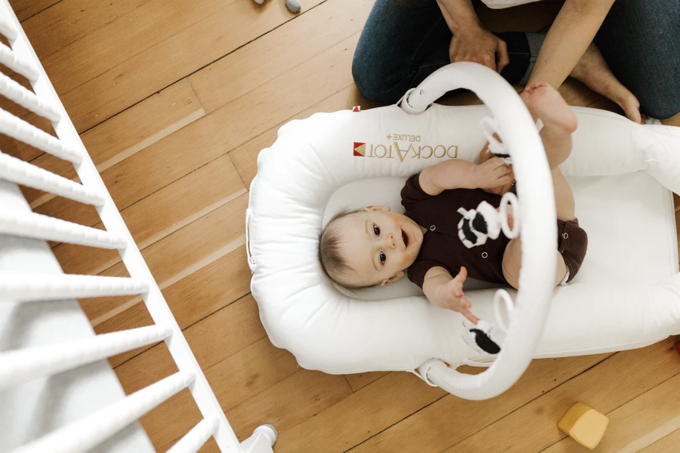 DockATot Product Deemed Unsafe for Sleep - The Krazy Coupon Lady display picture 1