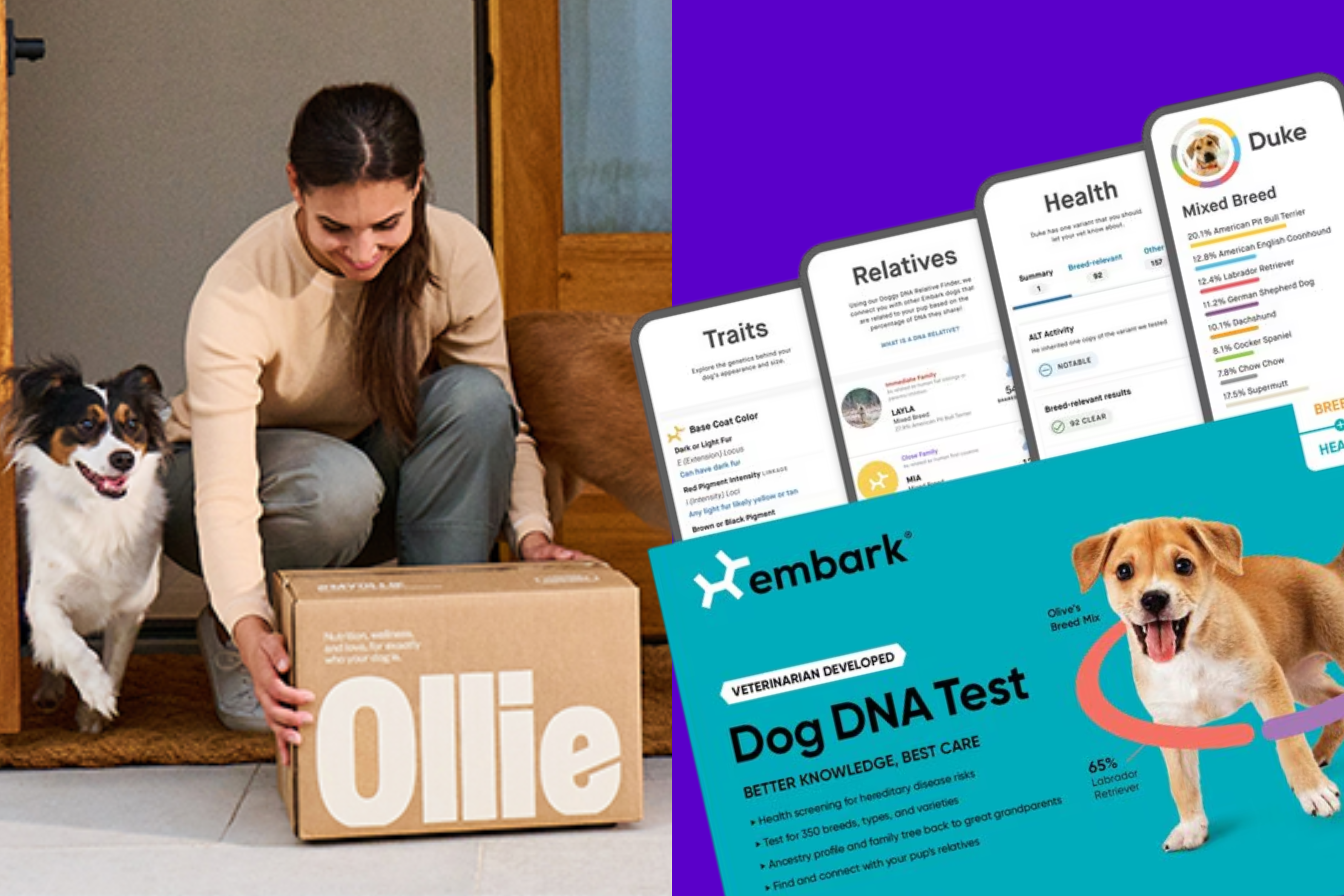 Discounts Embark Black Friday Sale Embark Dog Dna Coupon Hot Sale