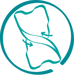 swaddlers-preemies-comfort-fit-icon