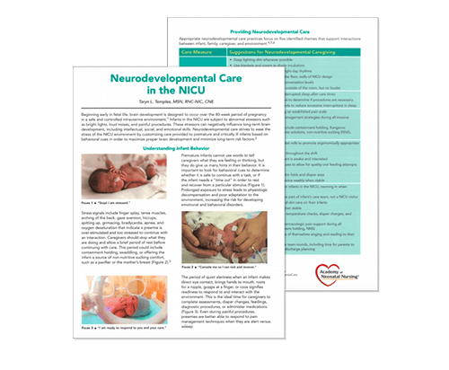 Neurodevelopment Care in the NICU