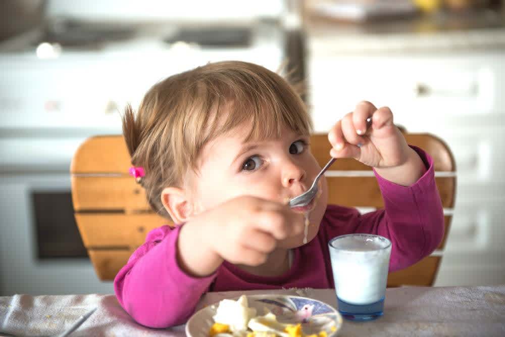 Nutritious and Wholesome Toddler Foods