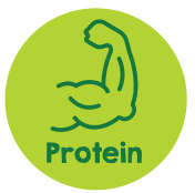 Protein