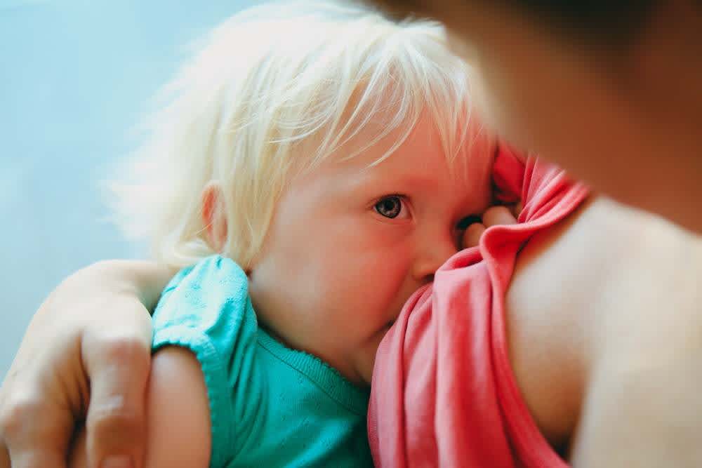 Ten tips for gently stopping breastfeeding your toddler, Baby & toddler,  Feeding articles & support