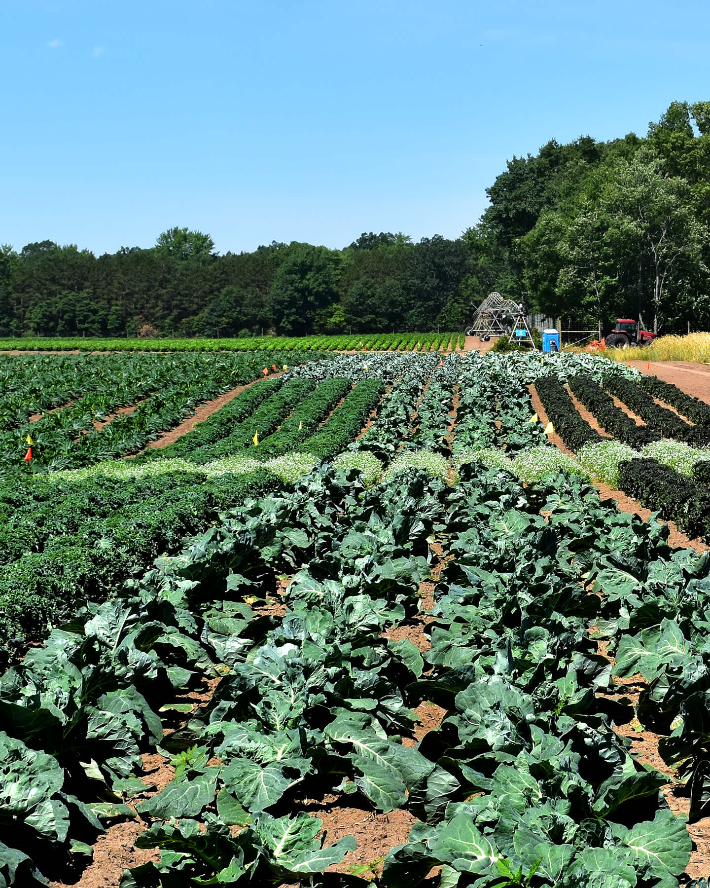 view-of-oomen-farms-crops