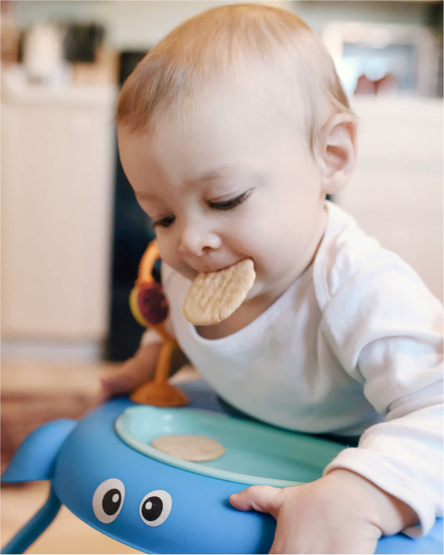 Baby eating teether crackers in walker.