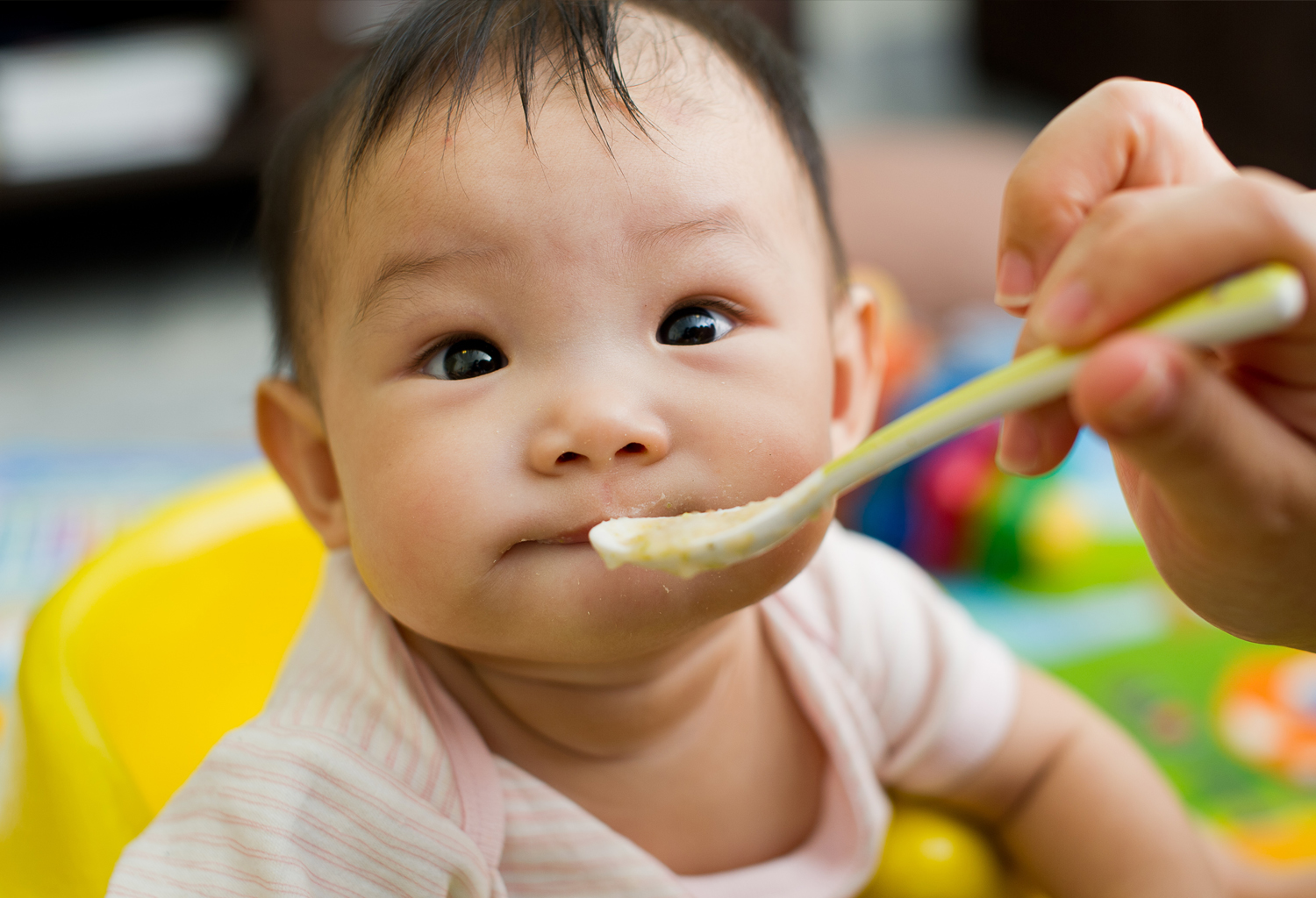 Twist n' Feed First Soft Foods Feeder