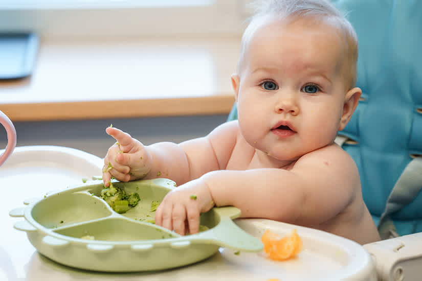 Getting Started on Solid Food: Baby Led Weaning & Spoon Feeding Nino -  thelittleloaf