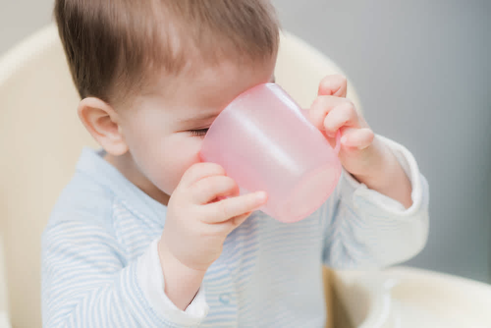 How to Introduce Milk To My Toddler?