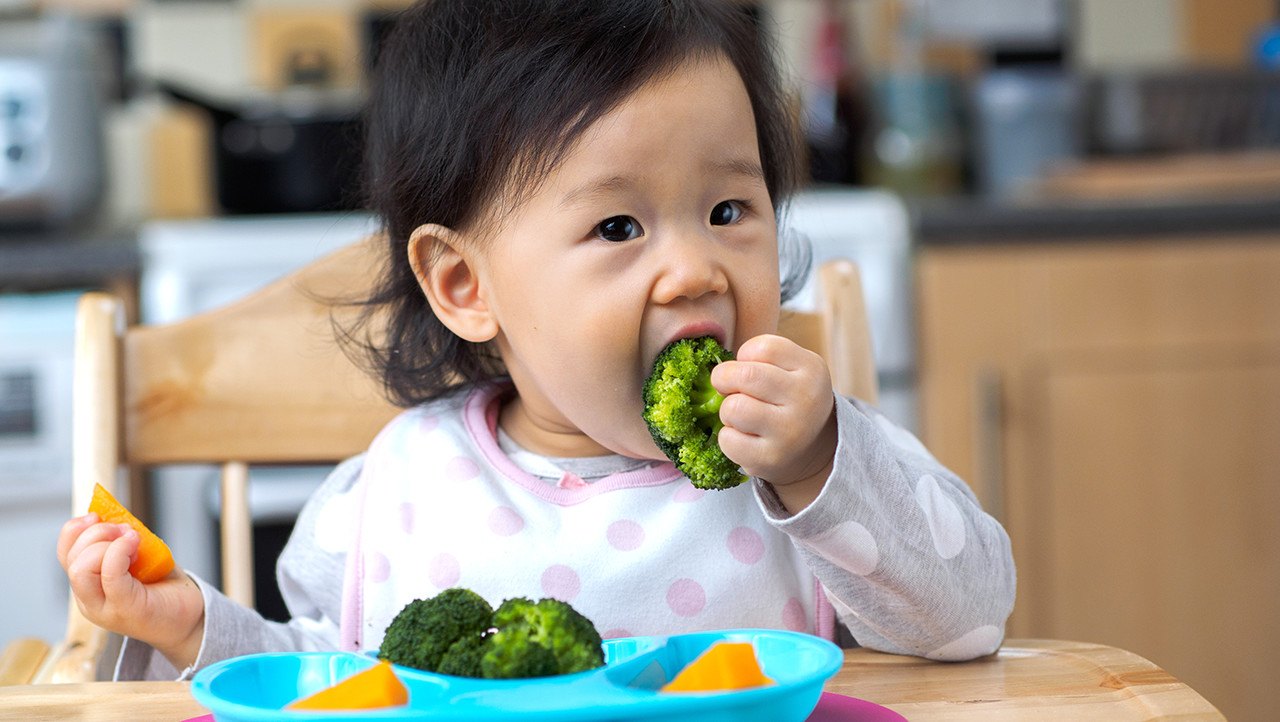 Baby Meal Plan: 12 Month Old | Happy Baby Organics