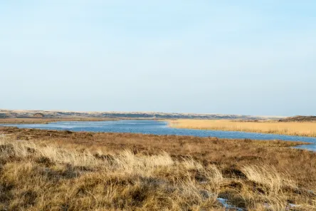 Duinen van Texel