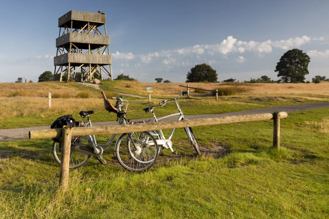 Drents Friese Wold 2