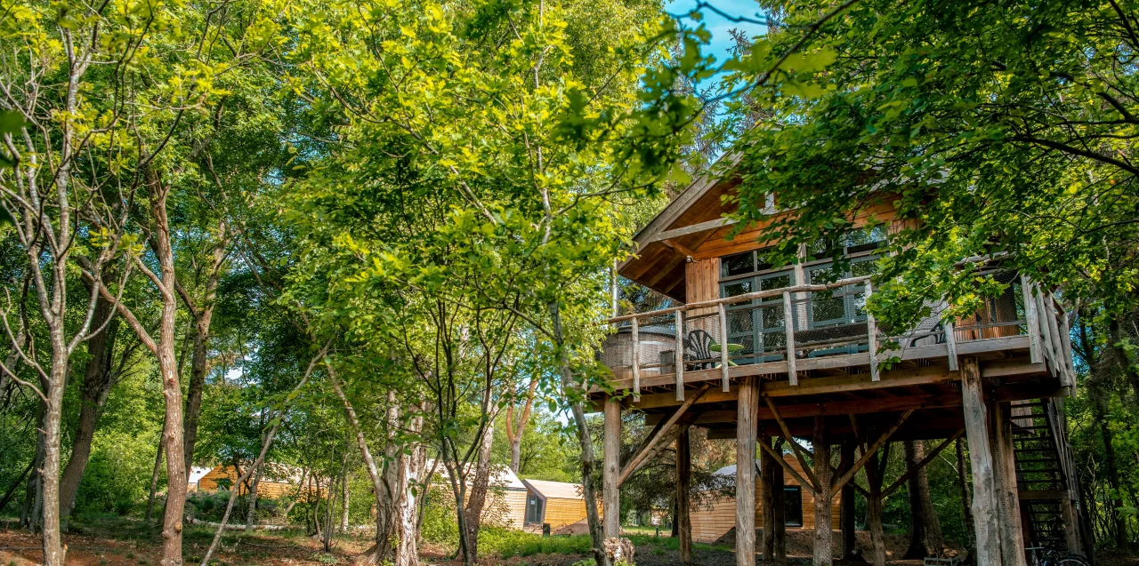 Ruinen Tree House Trees Forest Accommodations