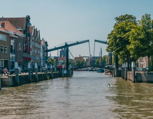 surroundings-dordrecht-europarcs-de-biesbosch