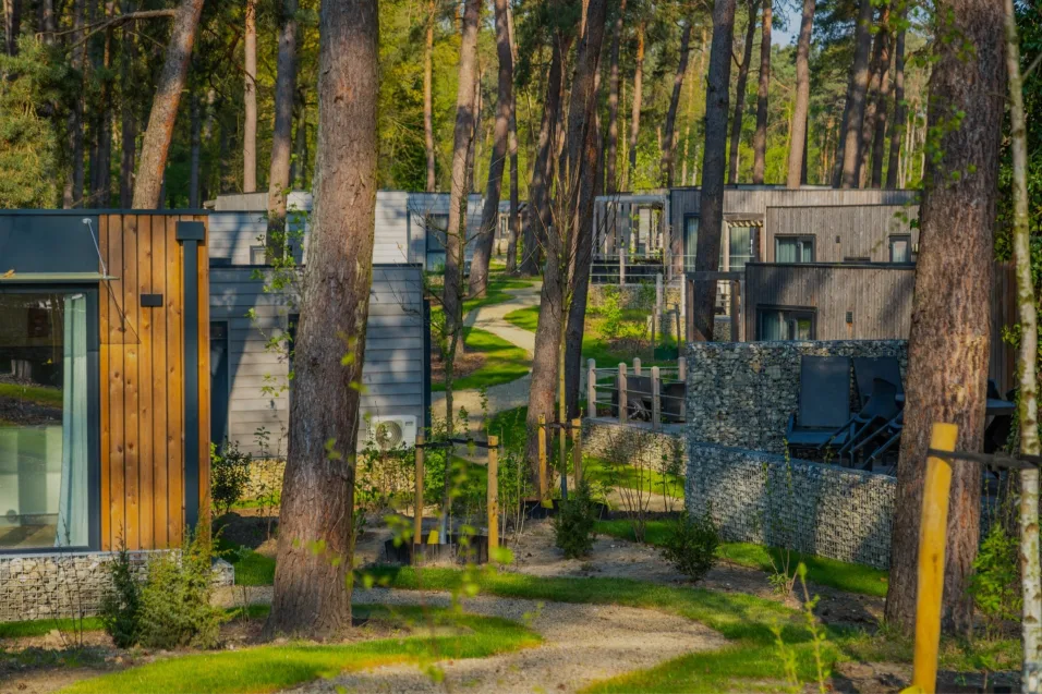 Hoge Kempen Cottage Overzicht Accommodaties Bomen Bos Paden Donker