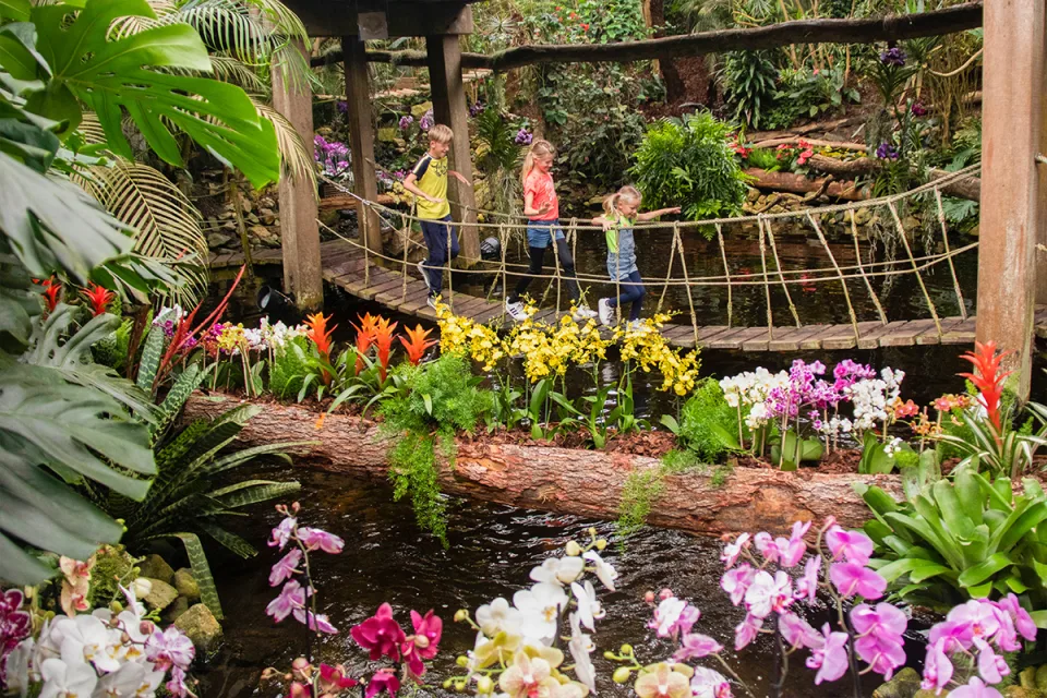 Orchideeen Hoeve hangbrug jungle Luttelgeest Nederland