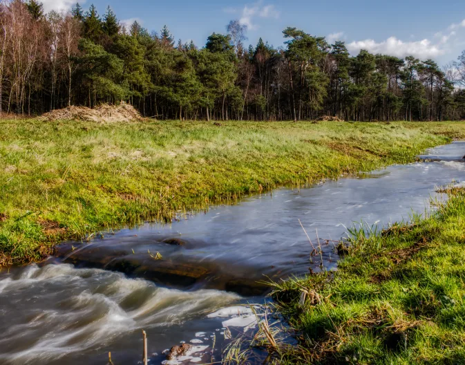 Lettele-near-deventer-unsplash