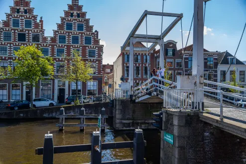 Haarlem Family Bridge Architecture