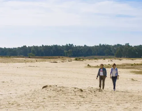 surroundings-veluwe-walking-europarcs-de-wije-werelt